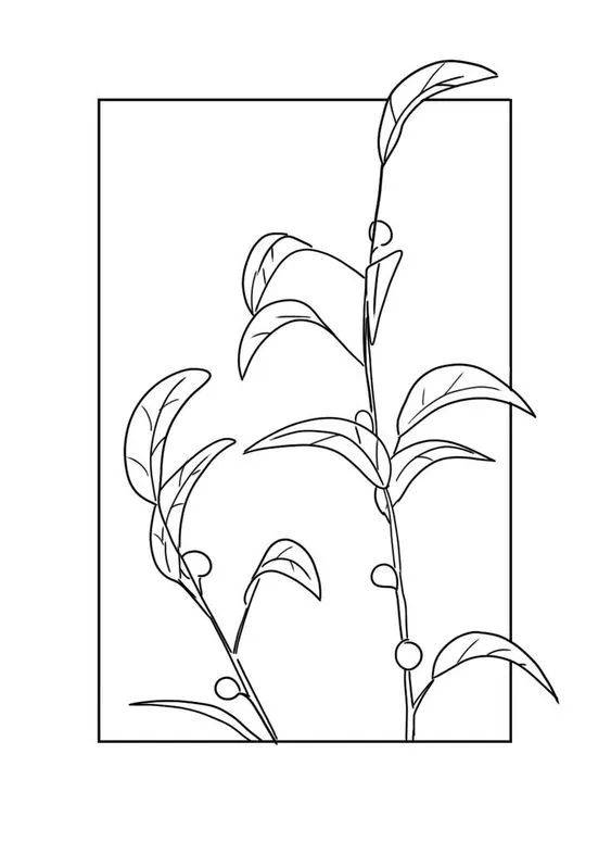 35张花卉线稿资料,收藏备用_植物_荷花_玫瑰花