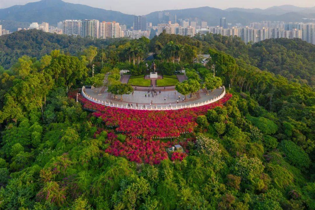 趁此时春光无限好供小伙伴做参考《清明假期深圳游玩打卡攻略》这份在