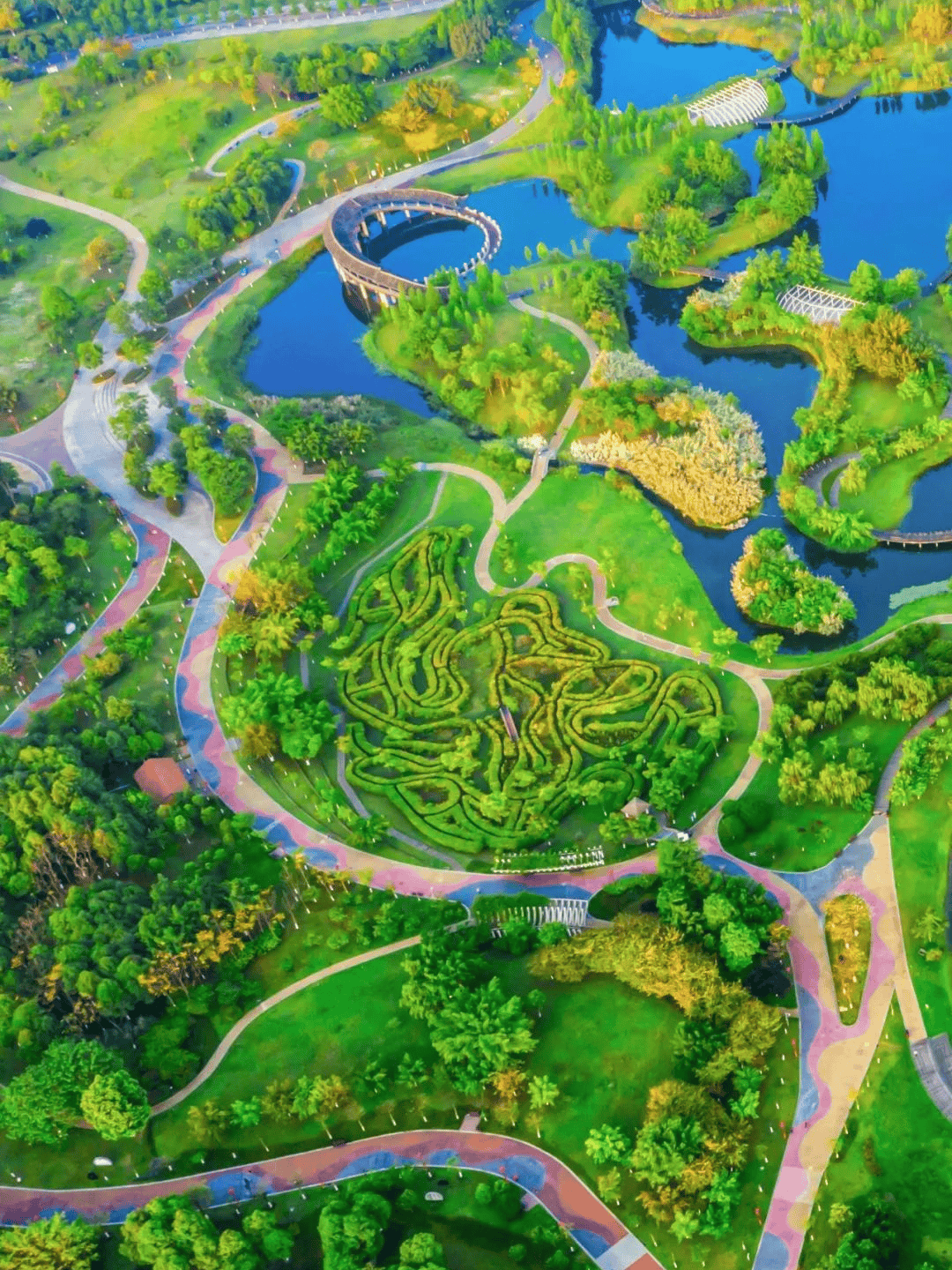 2024眉山东马步步生花奔跑不停