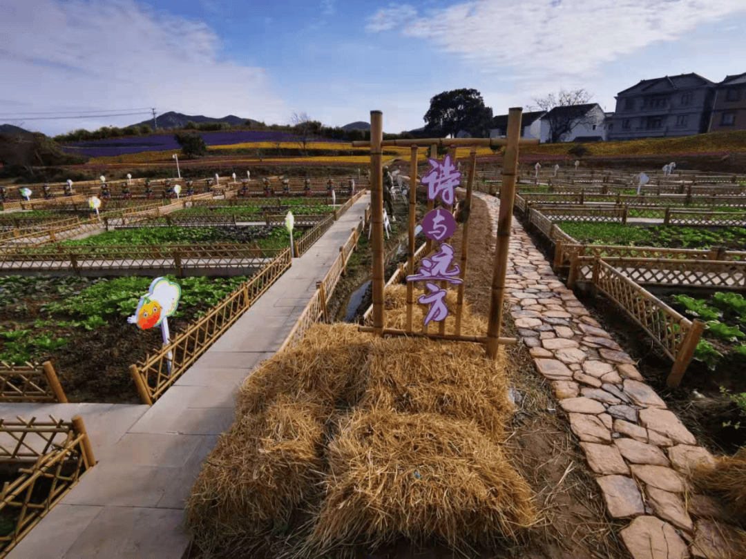 奔赴山海,越"篮"越好|去展茅乡村,寻找最美的春日