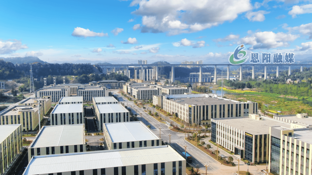 全市一季度重大项目现场推进会走进恩阳