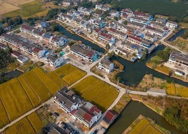 基层动态丨"三步"绘就和美河塘 助力打造"河塘悦色"_塘村_建设_江阴市