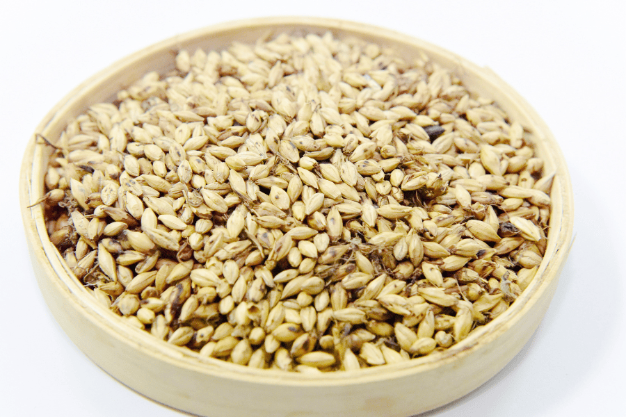 儿童喝的独脚金太子参汤健脾开胃消食化积