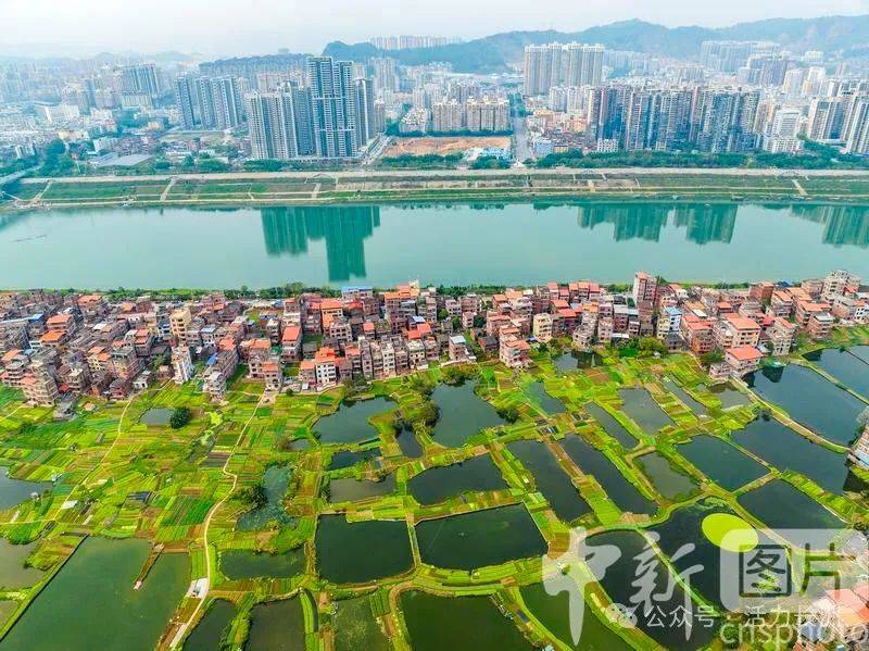 【中新社报道】长洲区:和美城乡春意浓_梧州市_广西_生态
