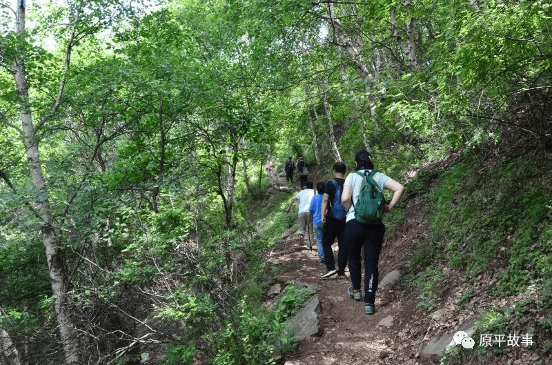 回顾原平屯瓦栈子沟黄土高原大氧吧