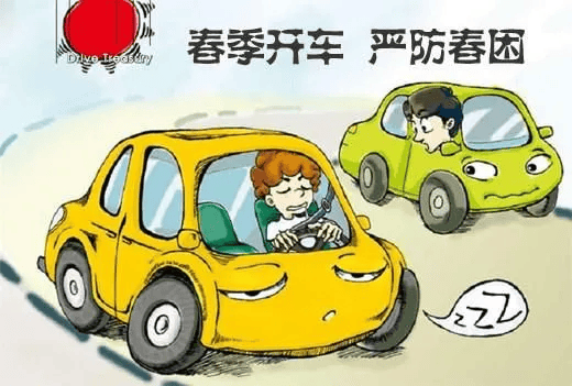 @阿坝人 您应该知道的交通安全知识_现象_安全带_车辆