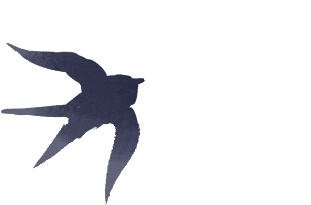 汉北办汉服书展啦50多本就展10天诶呀脑子里进汉服知识啦