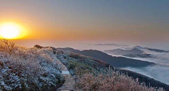 先生我出不了神山啦在山地公园省连公园你都走不出去不信你看