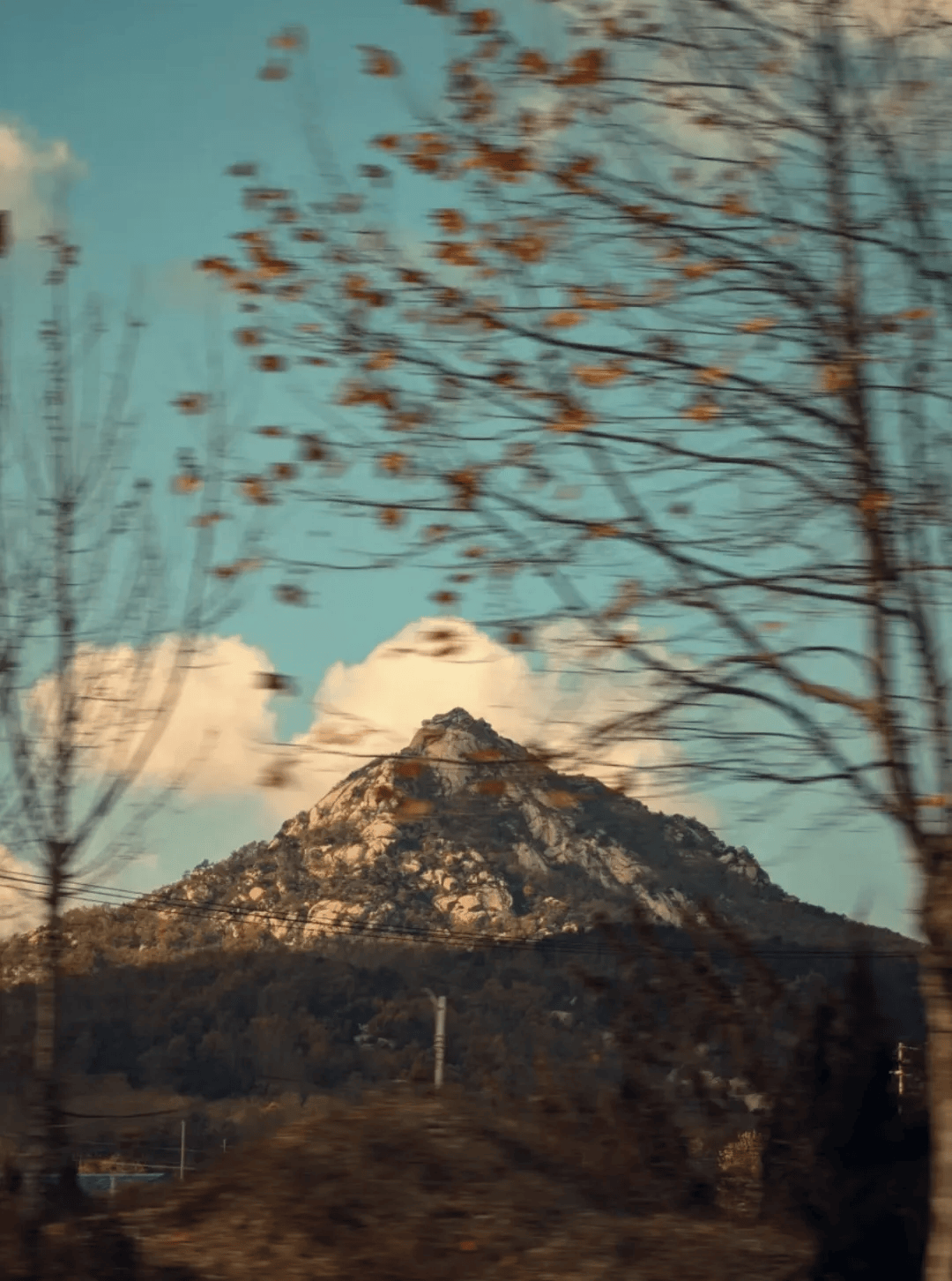 隐藏在山东半岛的滨海后花园幸福感高气候好还有封神肥美生蚝