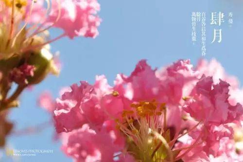 你好最美人间四月天