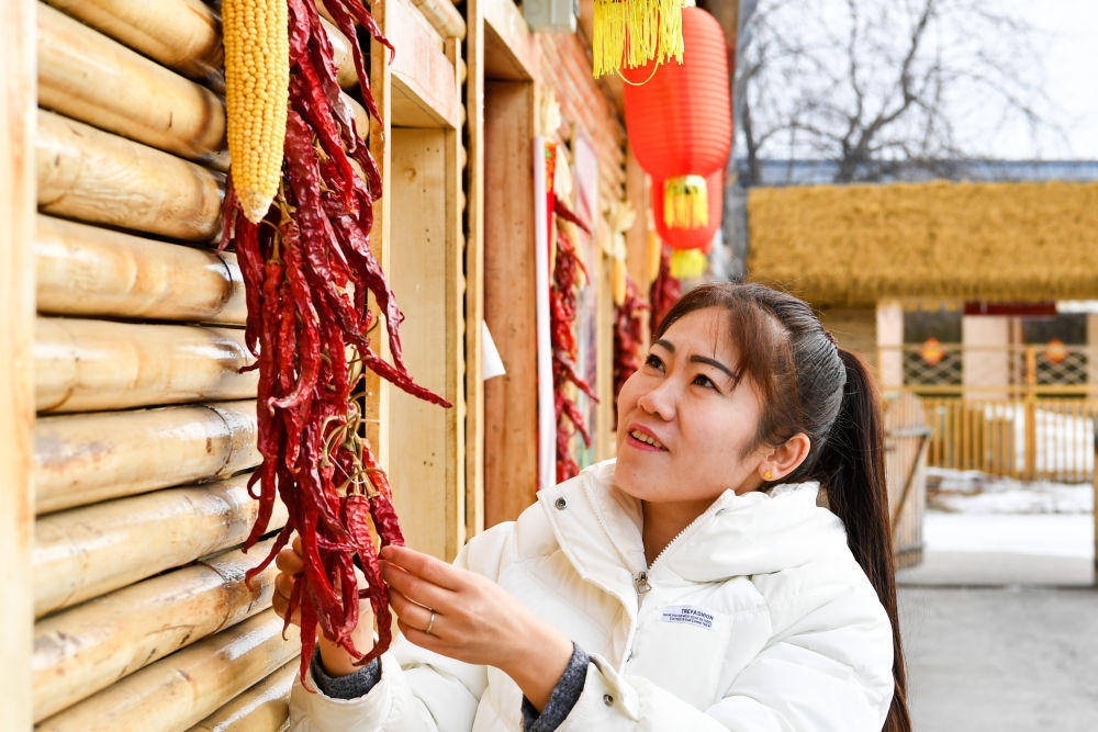 镜观回响十年停伐绿海生金