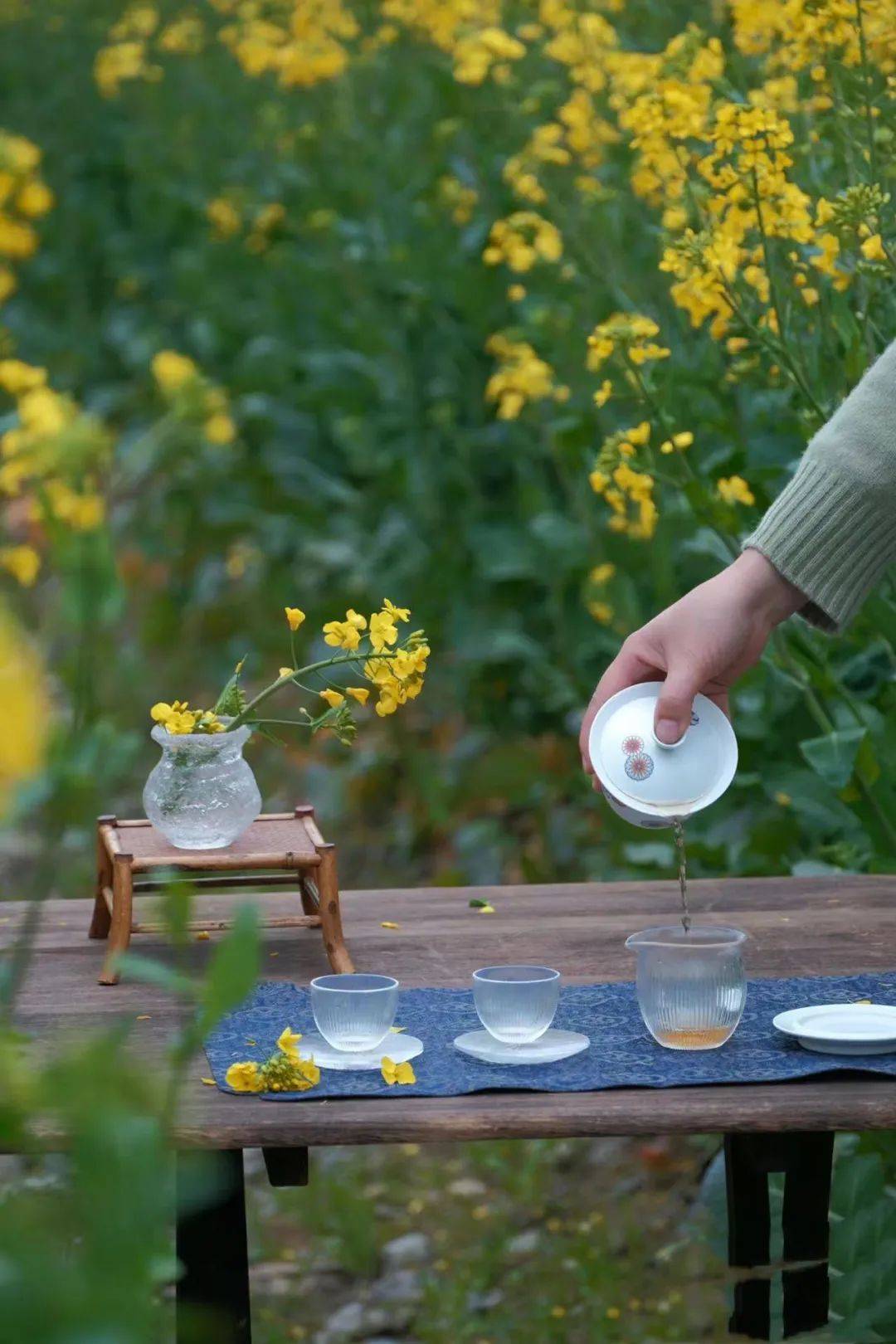 最美人间四月天赏花踏青喝茶