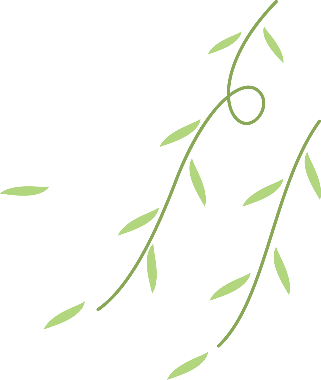 5万元红包等你来瓜分