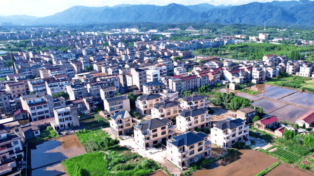温岭城南镇最新规划图图片