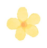 校园| 在南农,赴一场与春天的约会_白玉兰_青春_花瓣