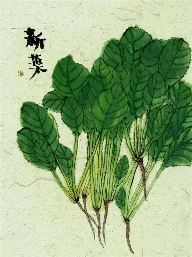 67史上最牛打油诗看一遍年轻10岁忍不住发你共享