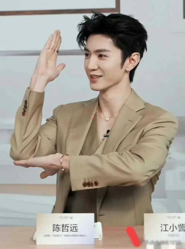 中国12大美男"的排行榜引发了热议,其中杨洋,刘学义,肖战等众多明星的