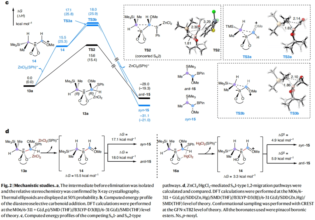 natsynth亚乙烯基同系化有机硼变烯基硼