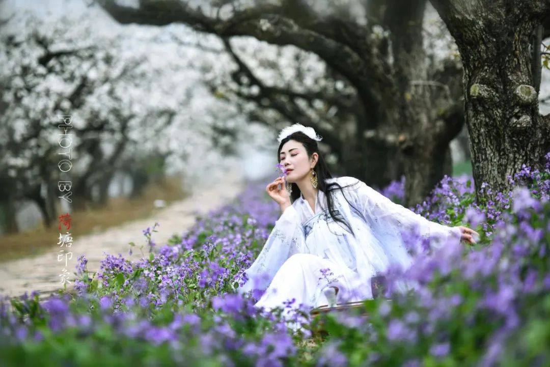 梨园琵琶行_梨花_玉女_姿容