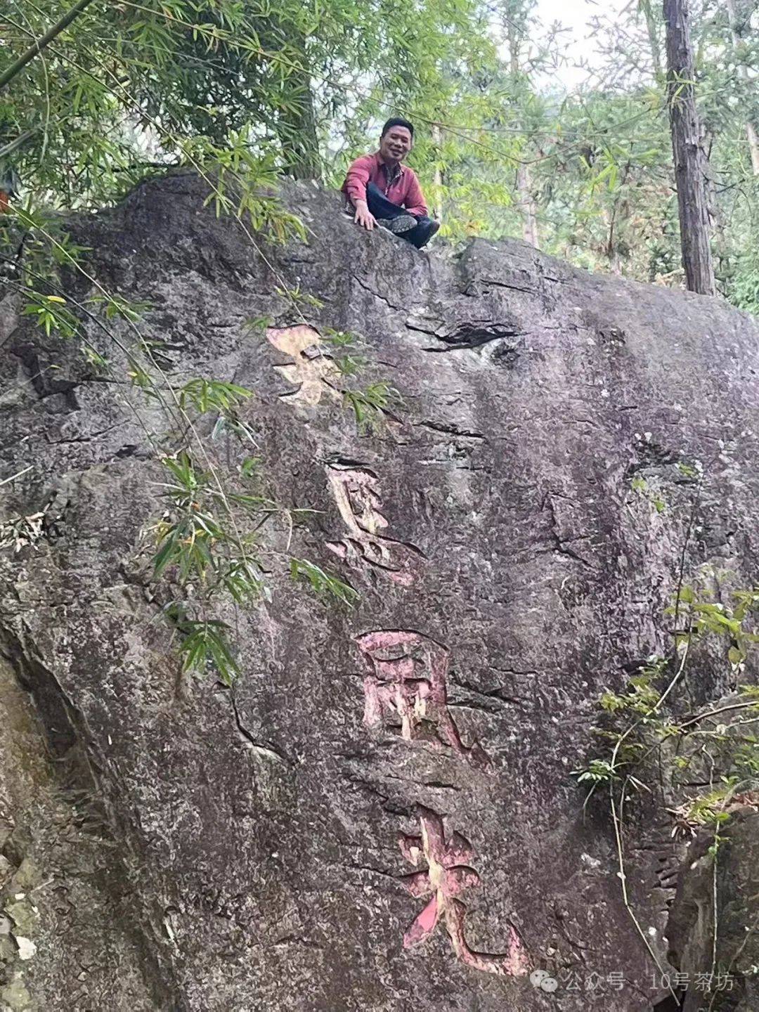 游洋镇天马村林笔顺福建