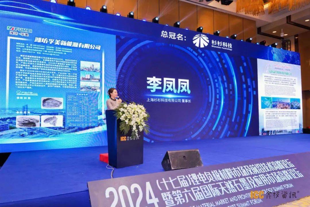 2024年负极江湖谁主沉浮?看行业大咖如何修炼内功和破局
