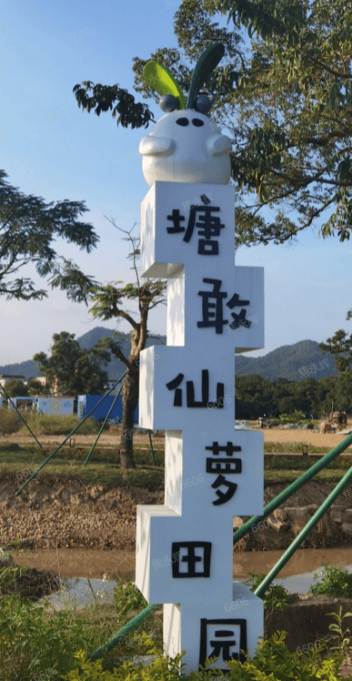 糊了麻将中山三乡:一二三产全域融合打造全域土地综合整治样板(图9)