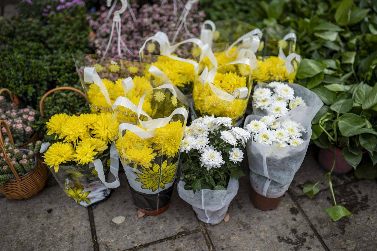 壁纸 花 桌面 1200_800