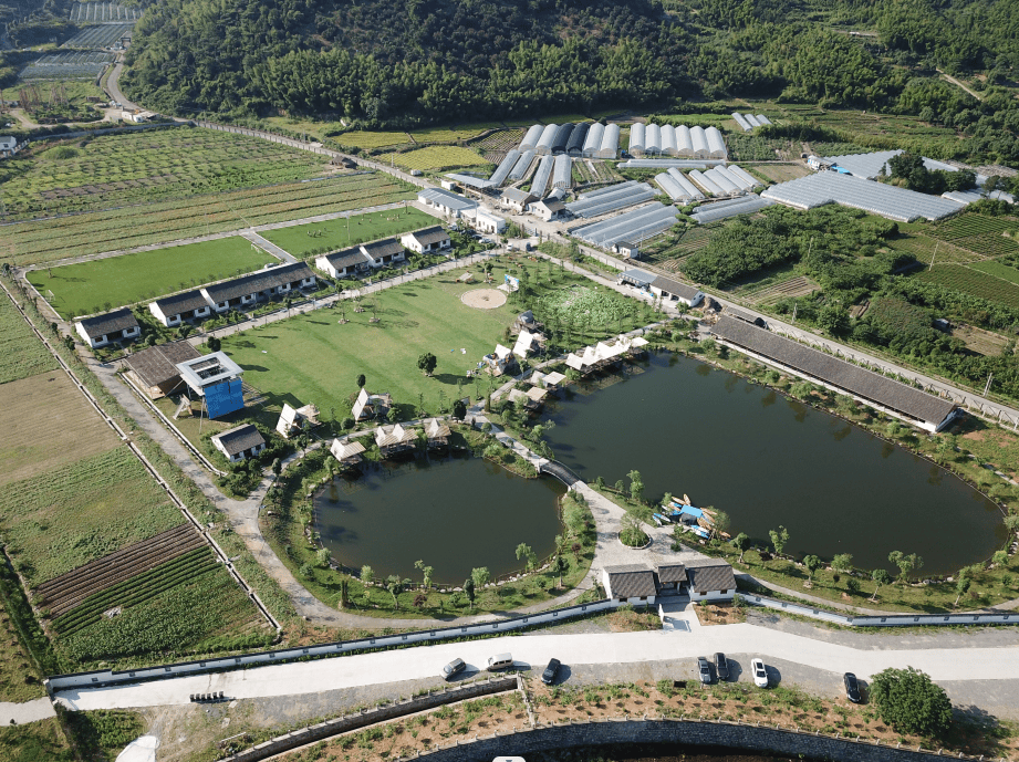 湖村_河姆渡镇_四明山镇