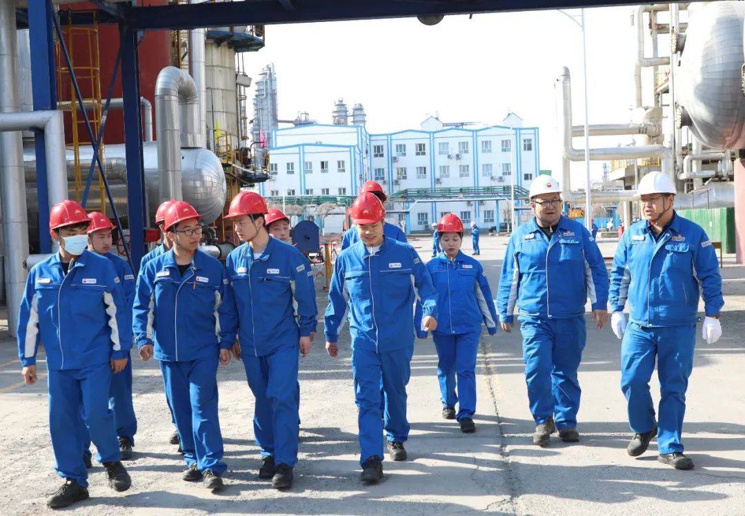 给萌新送上培训大餐