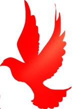 主题活动金茵小学清明祭英烈重走长征路