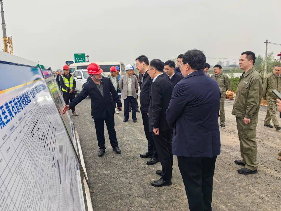 湖北省交通运输厅厅长钟芝清,副厅长王炜,省资源厅总规划师万滋仁,国