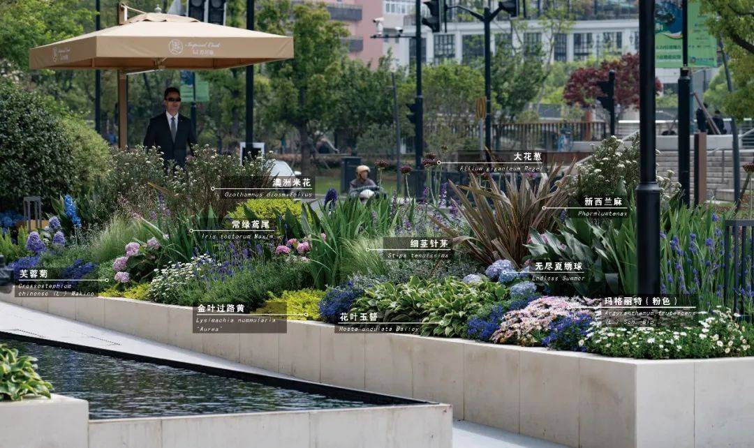 80花境植物配置图分享花境设计参考宝典