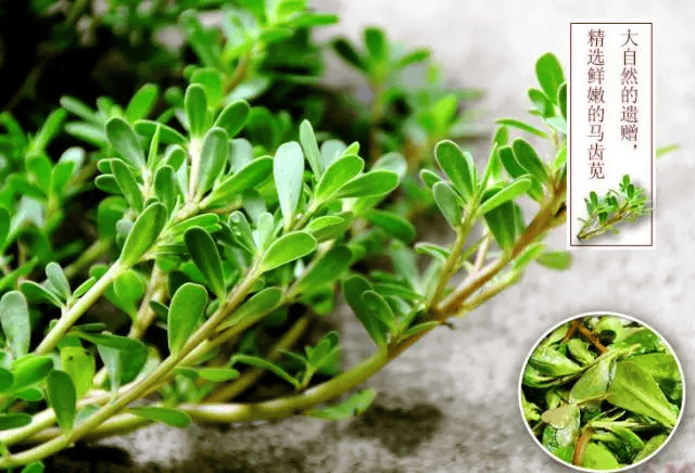 一种野菜治一种病,为家人收着!_吃法_功效_作用