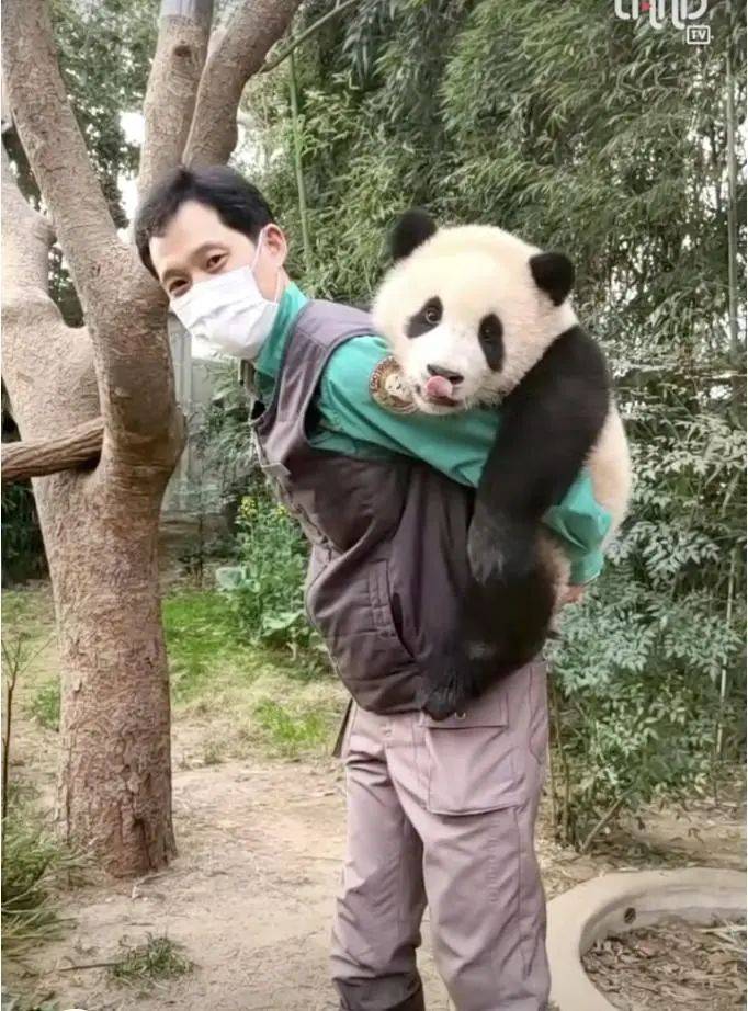 2022年3月,宋爷爷背着"福宝".