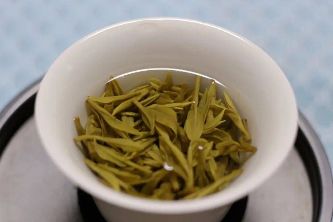 2024年的第一杯平阳黄汤上市了!