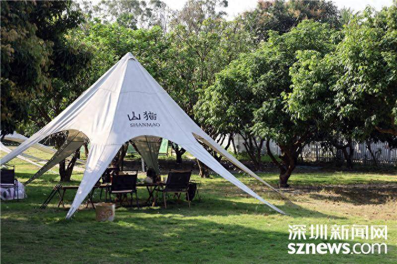 春生四月我在梧桐山露营地等你好久啦