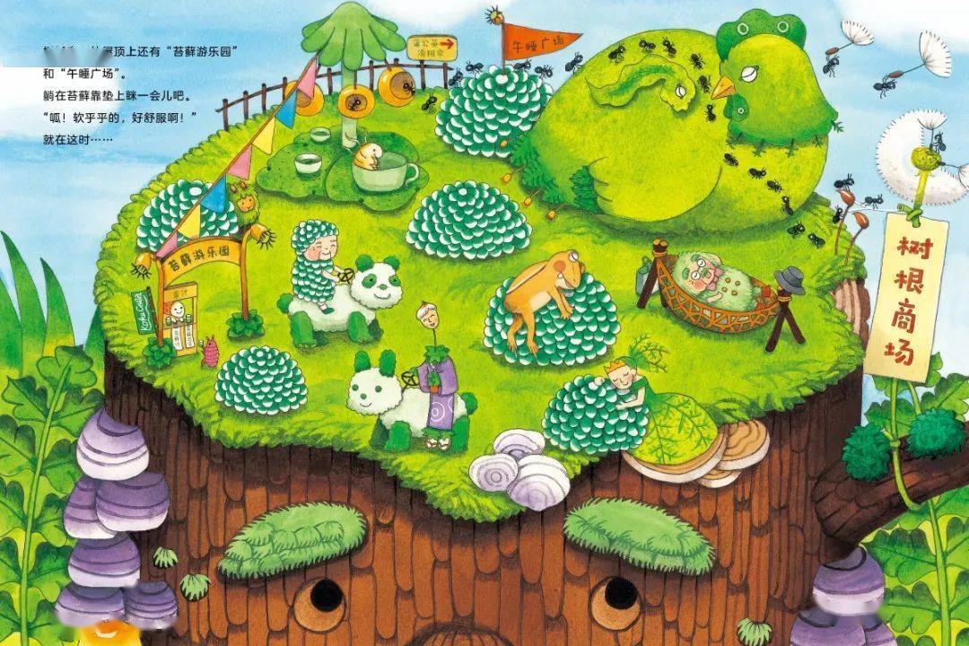 小世界探藓记今年的第一次春游就来这里吧