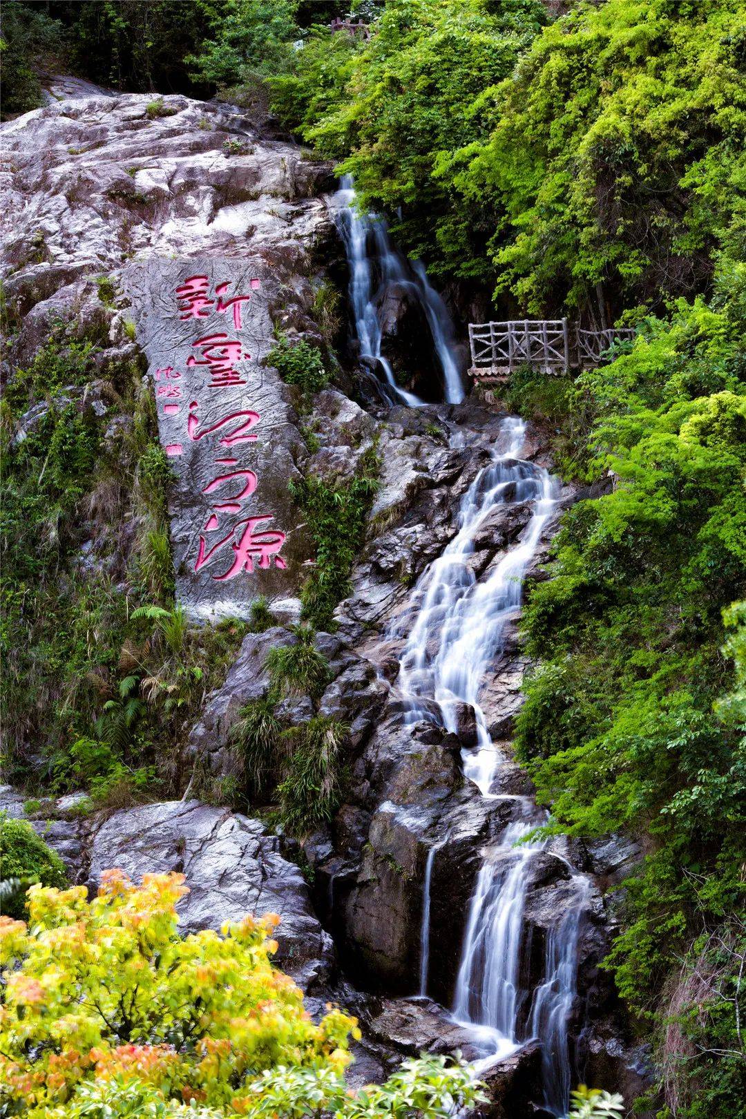 云髻山是一座"天然氧吧",穿梭在森林里,感受大自然的惬意与舒适.