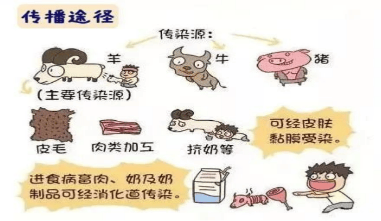 春夏季常见传染病预防_传播_人群_呼吸道