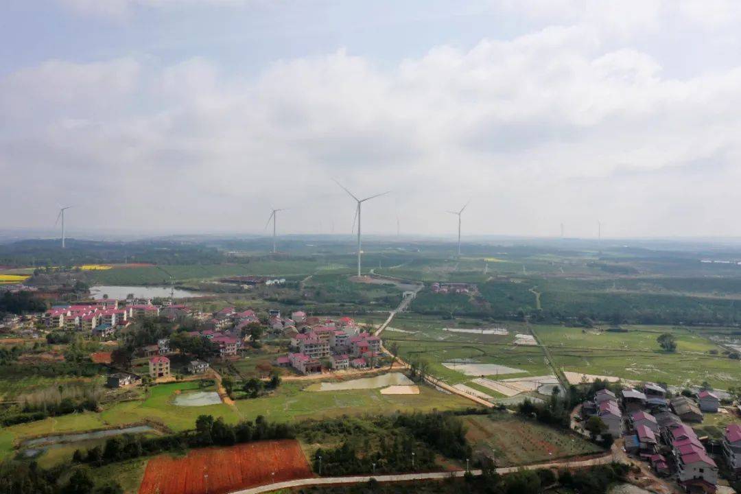 姚圩镇当好值守人护航平安清明