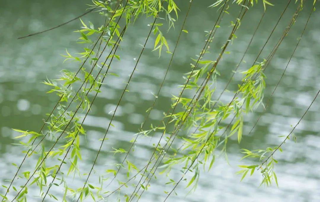 清明假期辽宁天儿咋样天气预报来了