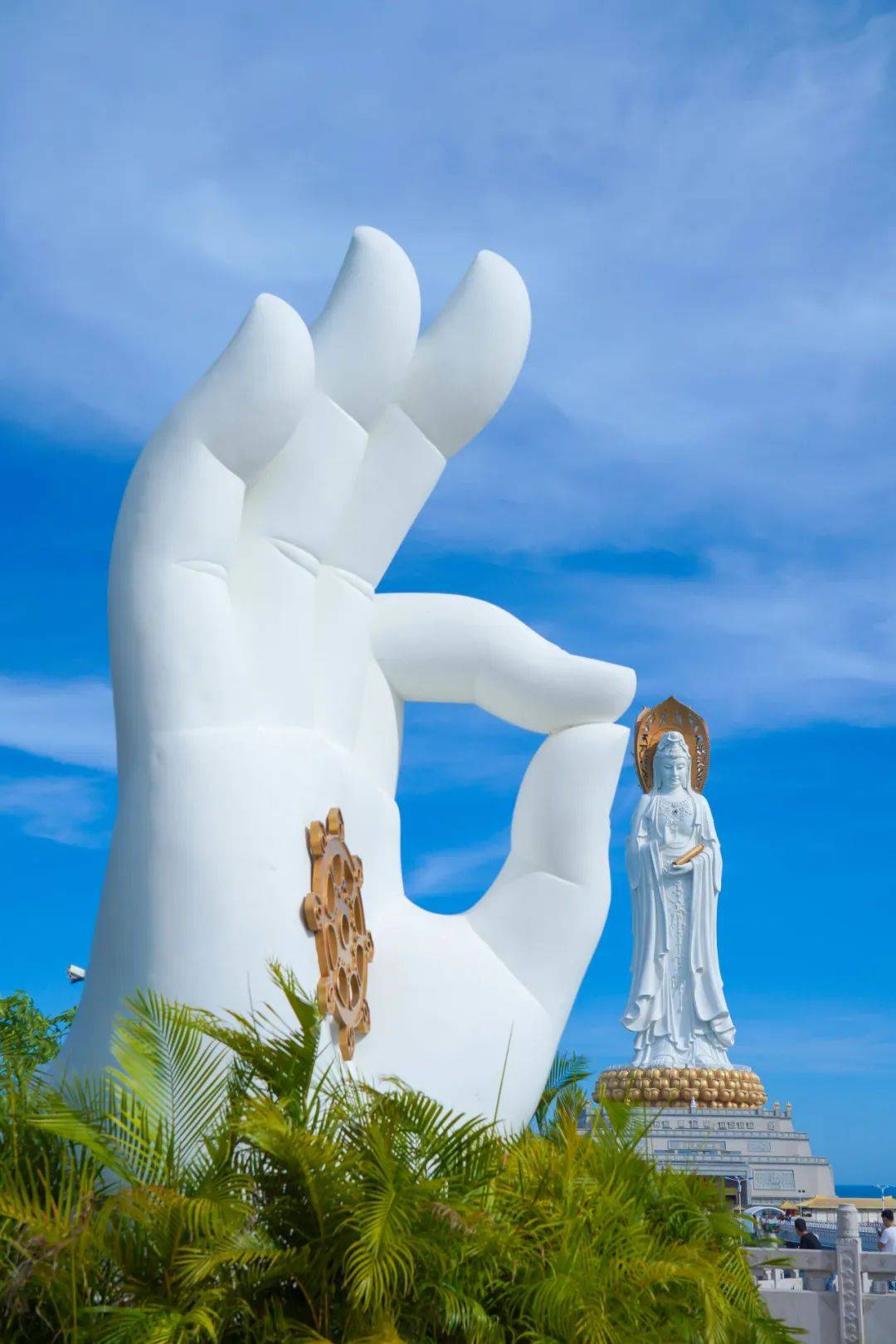 官宣丨三亚南山文化旅游区开通小红书官方账号啦