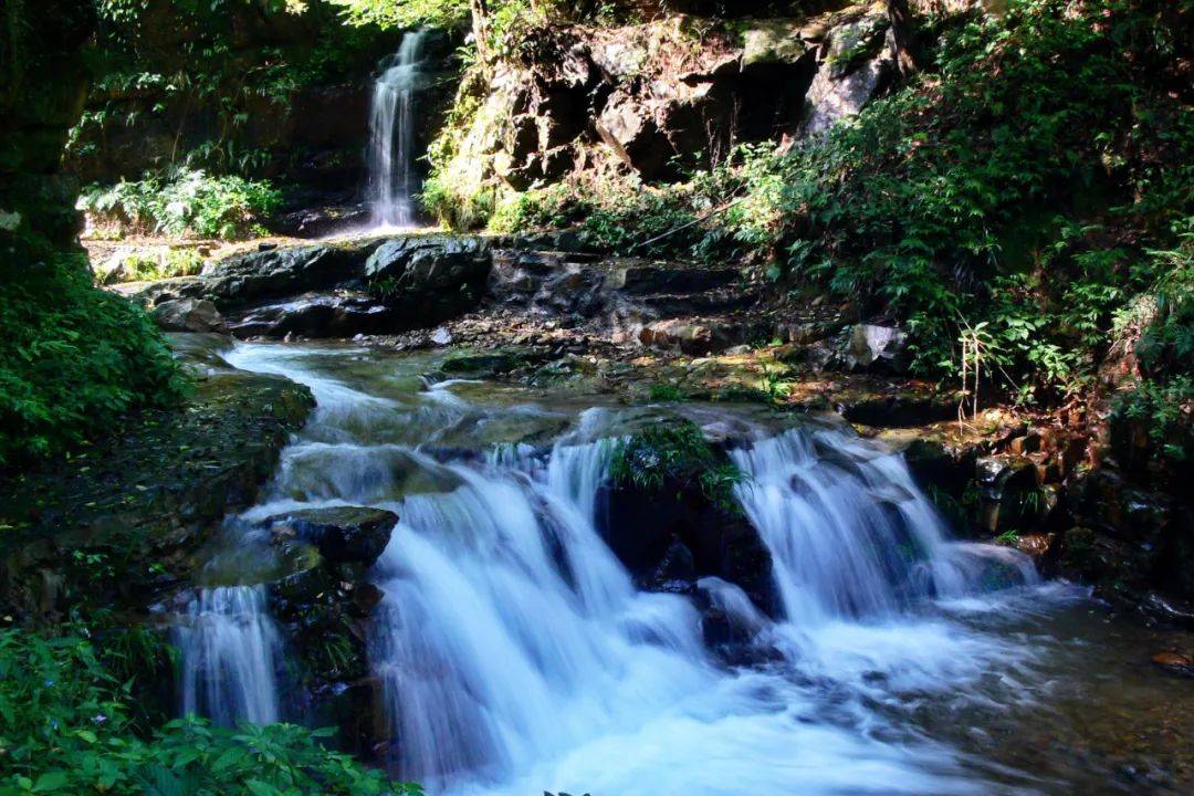 黄石宝藏打卡地赏花踏青一键get
