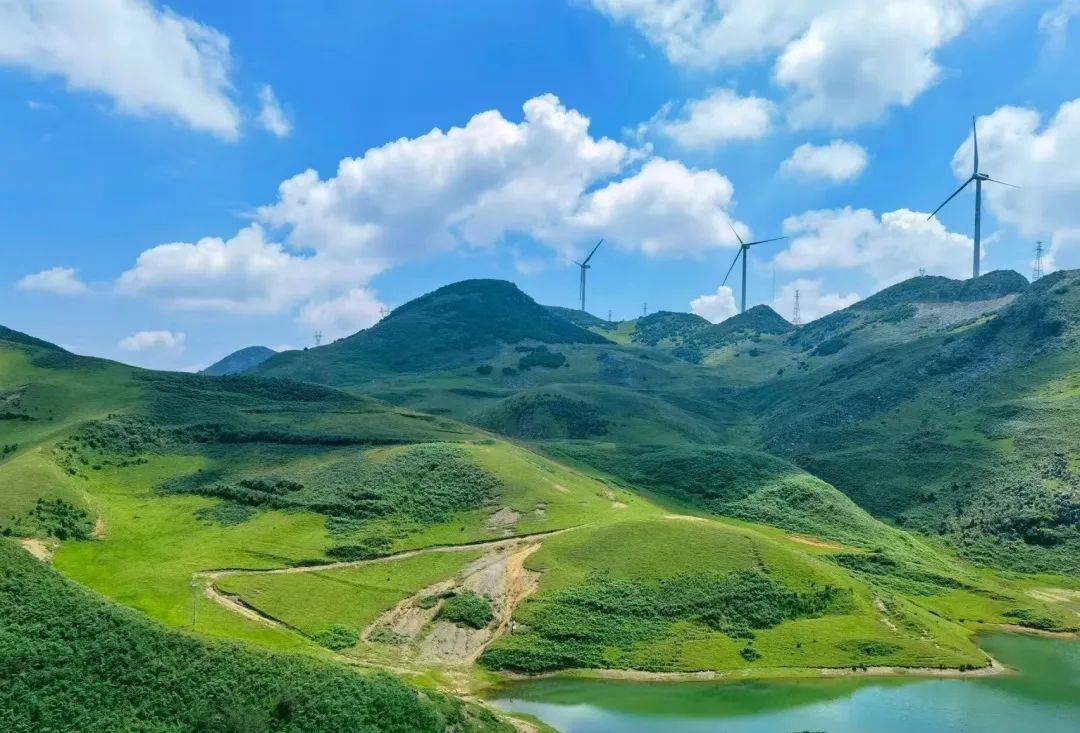 春游华宁气清景明宜到华宁踏青寻春