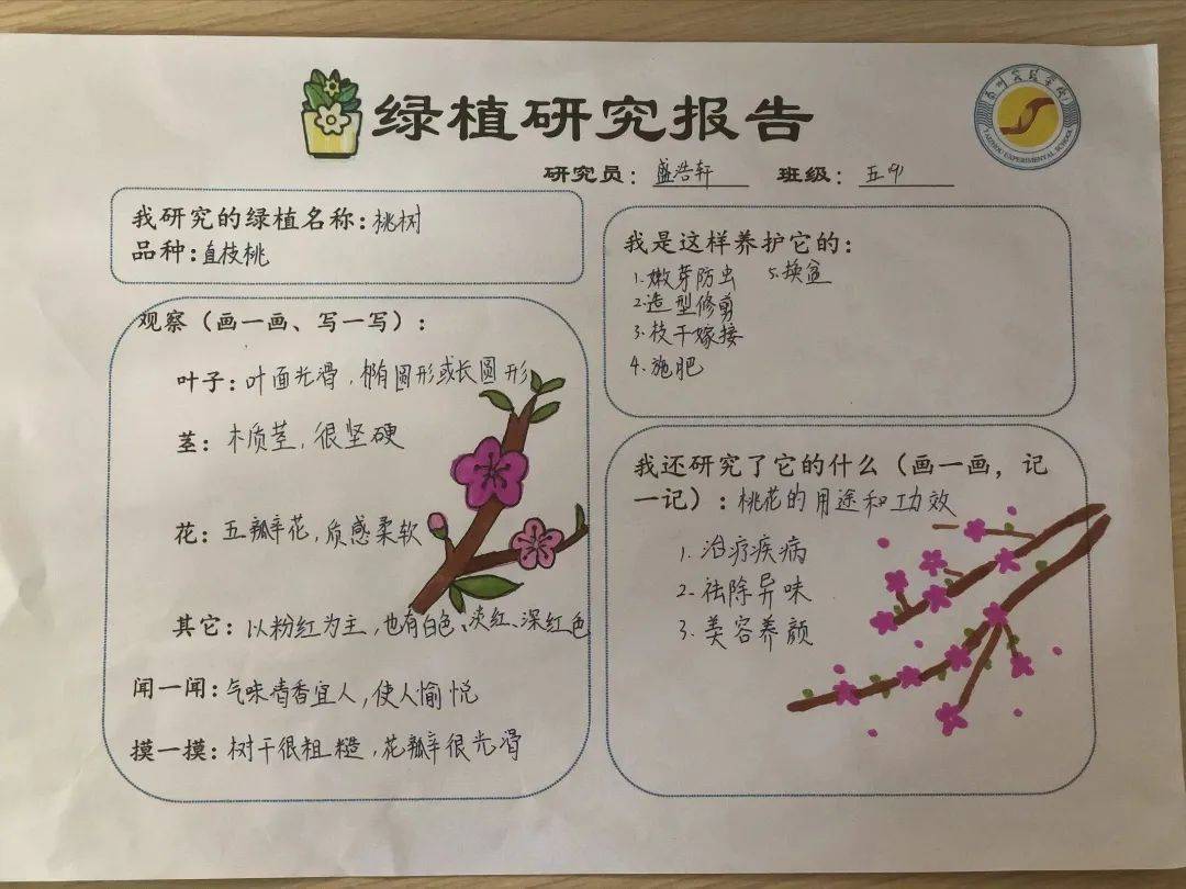 泰州实验学校绿植小园丁劳动课程实践