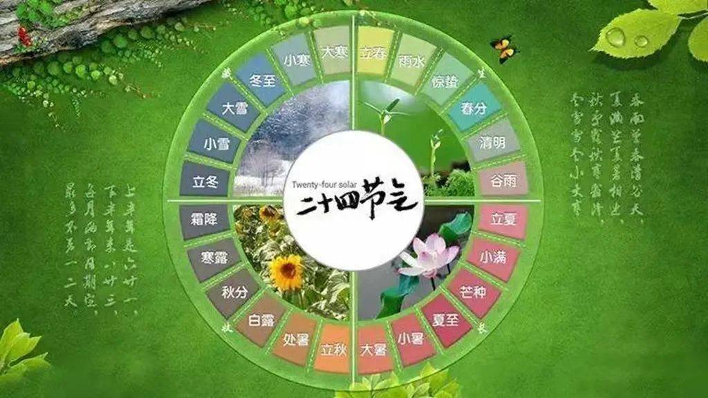 专家:原因是这样的…_太阳_变化_节气