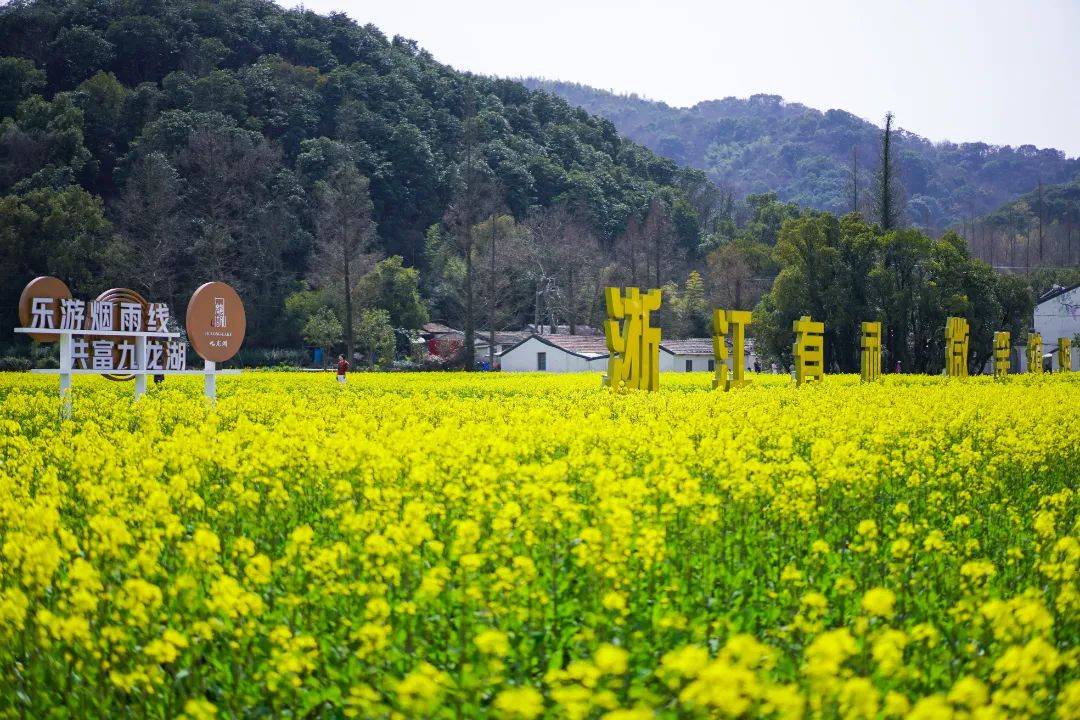 长胜村孟家花海
