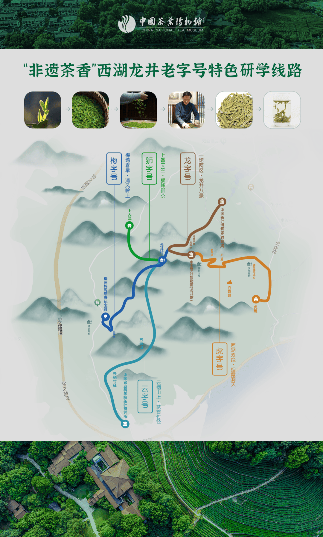 正气塘古树茶地理位置图片