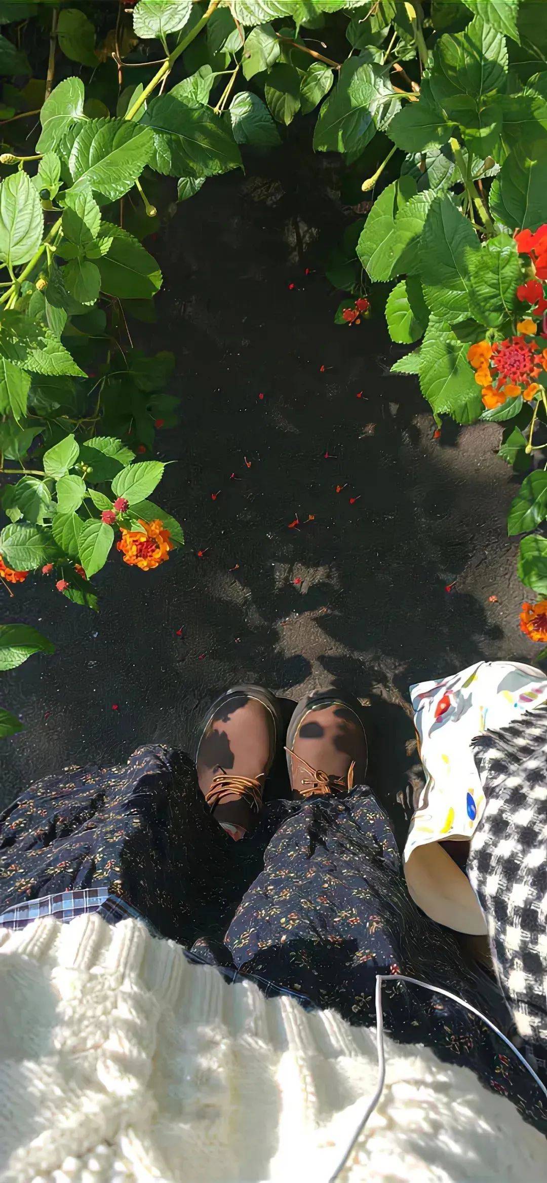 ins壁纸 | 氛围感锁屏壁纸