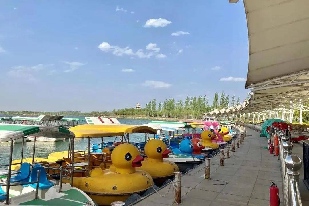 观赏余晖下的绝美湖景在银川文化艺术博览中心,感受一场流光溢彩